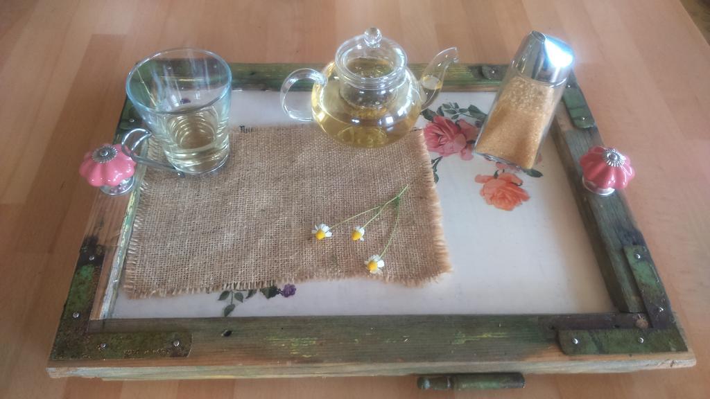 Guest House Eco Vila Mila Rogaška Slatina Kültér fotó