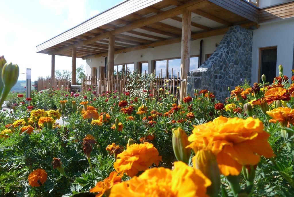 Guest House Eco Vila Mila Rogaška Slatina Kültér fotó
